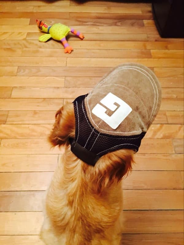 Brun, L-fasjonabel hundecaps, solbeskyttelse om sommeren, for smal