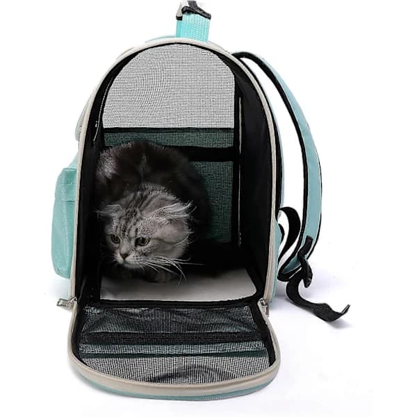 Cute Foldable Capsule Backpack for Small and Medium Cats, Puppies, and Dogs, Transparent, Breathable, Heat-Resistant Carrier Bag