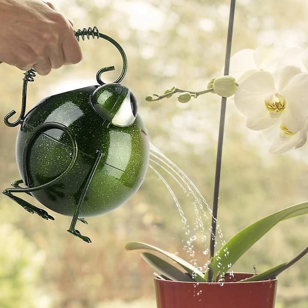 Frø-vandkande til hjemmet, vandingskande til bonsai-planter, haveredskab