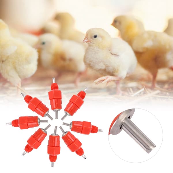 Automatic Poultry Drinking Fountain 100 pcs