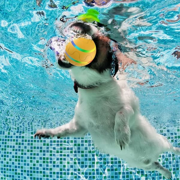 Interactive Pet Toy Ball Dog Toy Ball Self-Rolling Cat Toy Ball with LED Light USB Rechargeable Orange
