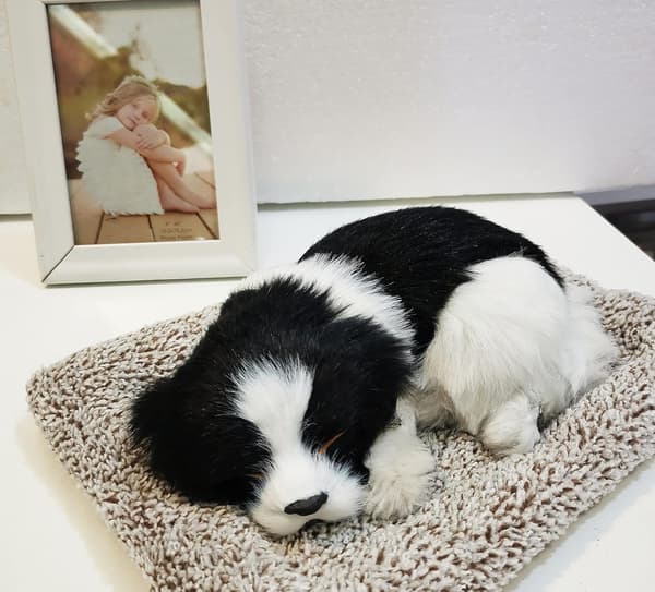 Söt simulerad djurdekoration bilinstrumentbräda plysch realistisk Border Collie med kudde