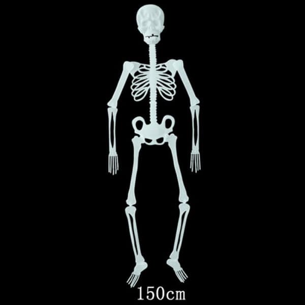 32/90/150 cm Poserbart Menneskelig Skjelett Halloween-dekorasjon Fest A 150 cm