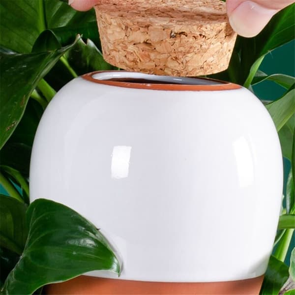 Plant Watering Globes, Terracotta Spikes - Slow Release Watering Can, 47 cl Automatic, 4 Pieces