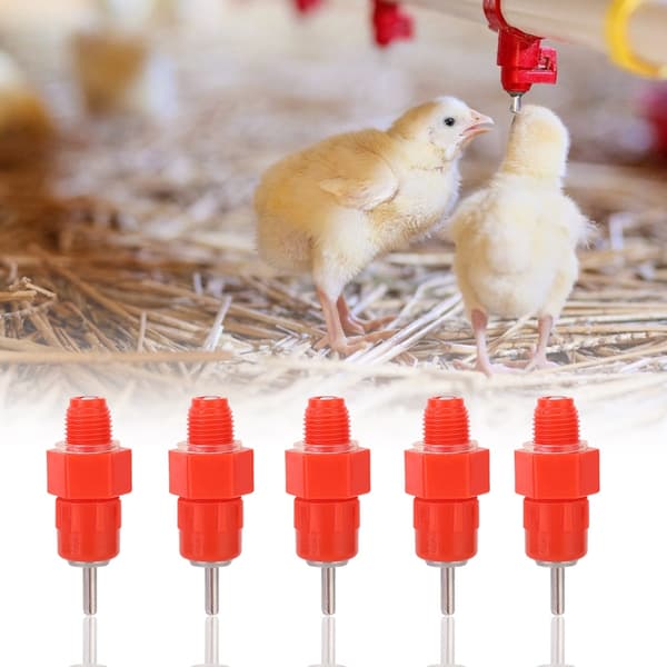 Automatic Poultry Drinking Fountain 100 pcs