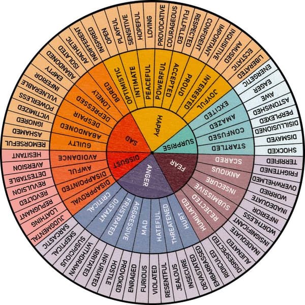 Dobbeltsidig \"Følelseshjul\" skrivebordsdekorasjon i tre: Diagram for mental helse med stativ – Skole/Kontor
