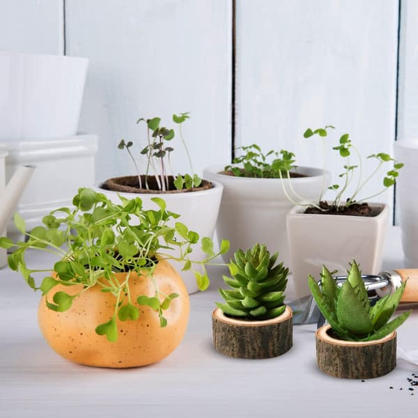Sett med 15 telysholdere i tre, naturlige lysestaker for te