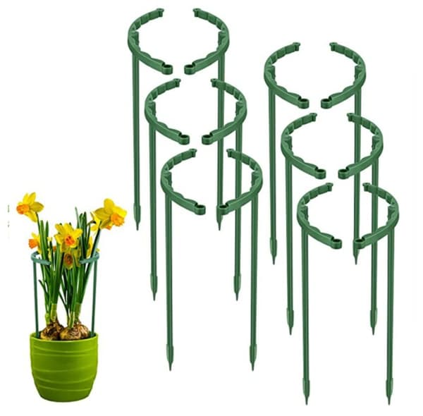 Kasvituki - 25cm, Köynnösristikko kiipeilykasveille, Kasvi