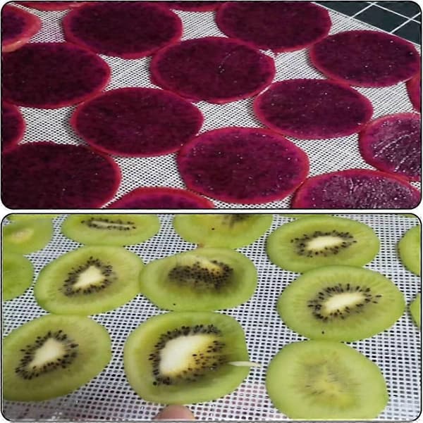 8 Pieces Square Silicone Sheets for Dehydrator, Non-stick Reusable Thickened Silicone Steamer Mat for Fruit and Food Dryer