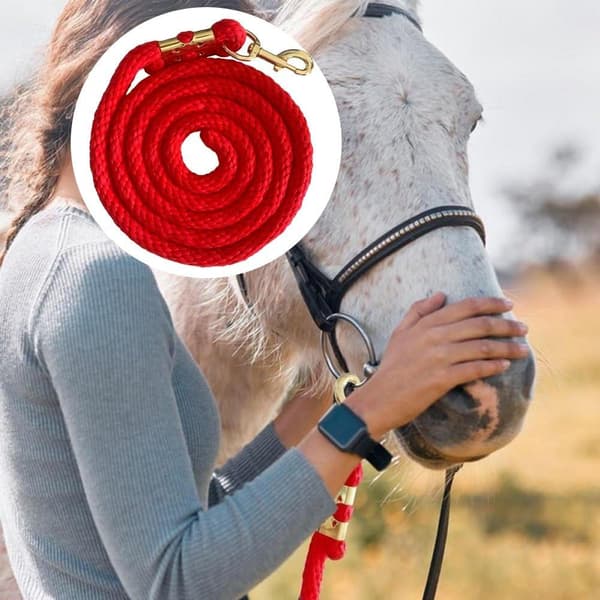 Horse Rope Training Leash with Trigger Bull Snap Cord Long Walking Leash