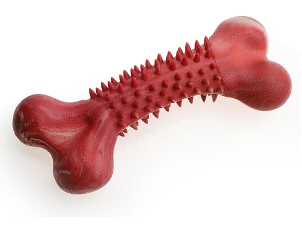 Hundleksak 1 stycke Hundben Tuggborste Tandstädande Pinne