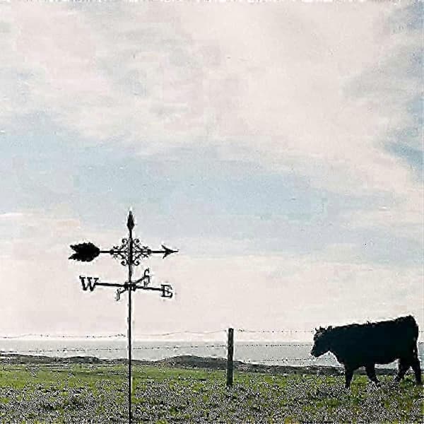 Exquisite Metal Weathervane with Ornament