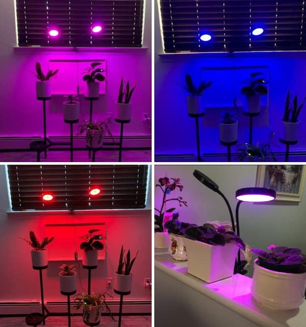 Plant Grow Light, 156 Full Spectrum LED Plant Lights Compatible with Indoor Use[LD]