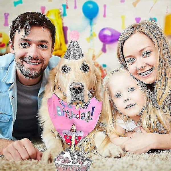 4 deler hund bursdagsfest hatt skjerf hund bursdagsbanner dekorasjon Gratulerer【PL】