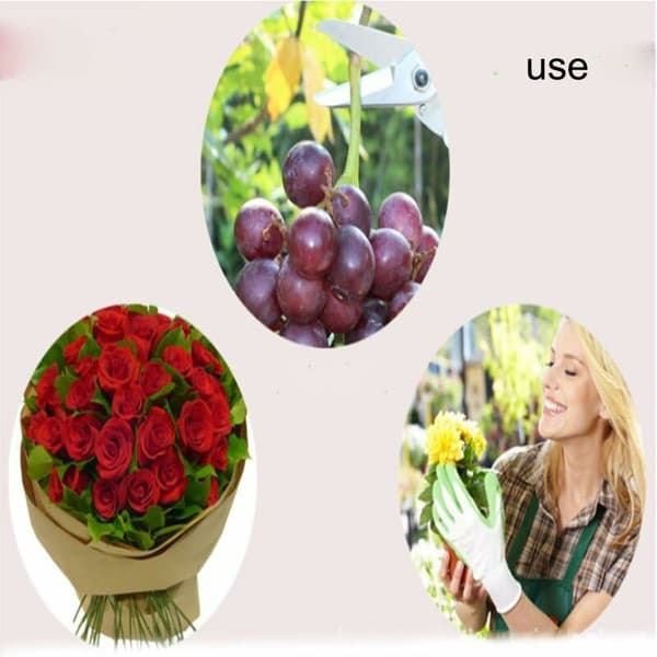 Blomgren Floral Art Scissors Florist Gardening Flower Arrangement Grafting Pruning Tool, Garden Pruning Tool