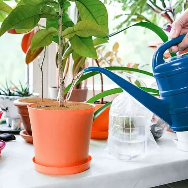Dækplader, vinterbeskyttelse til potteplanter, plantebeskyttelsesmåtte, bionedbrydelig kokosmåtte til havearbejde, 20 cm
