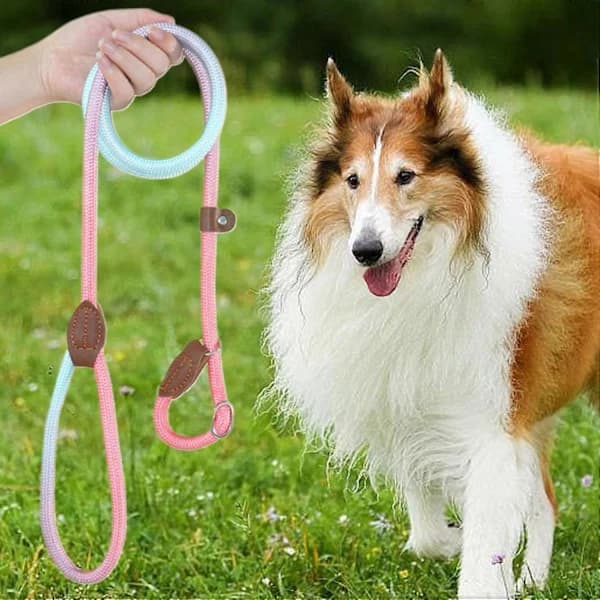 Hundesele No-Pull Trening Nylon For Valper Og Hunder Justerbar Lilla Størrelse M For Utendørscamping Og Løping (FMY)