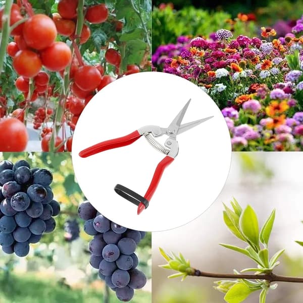 Stainless Steel Pruning Shears, Straight Precision Snips with Spring-Loaded Ergonomic Grip for Herbs, Flowers, Bonsai, Red