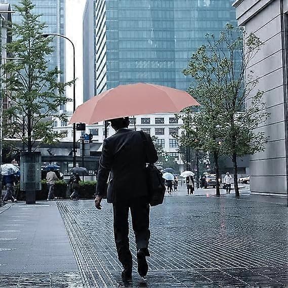 Folding Umbrella, 6 Ribs Mini Umbrella Small Umbrella with Capsule Case Mini UV Protective Umbrella Quick-Drying and Ultralight Compact (Pink)