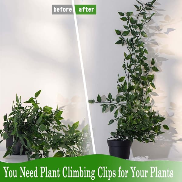 Plant Clips, 100 Pieces, Self-Adhesive, Reusable, for Climbing Walls, Green