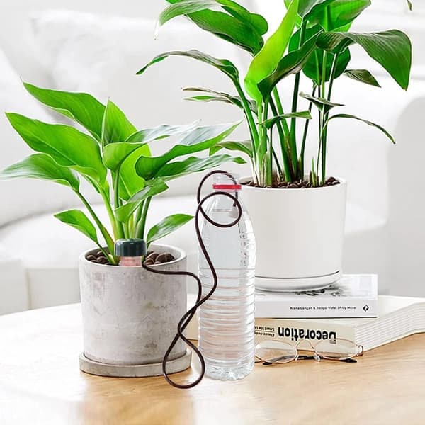 Automatic Plant Waterer, 6-piece, Water Dispenser for Potted Plants, Green and White
