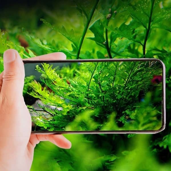 LED akvarielampe, clip-on akvariumbelysning til små og mellemstore akvarier