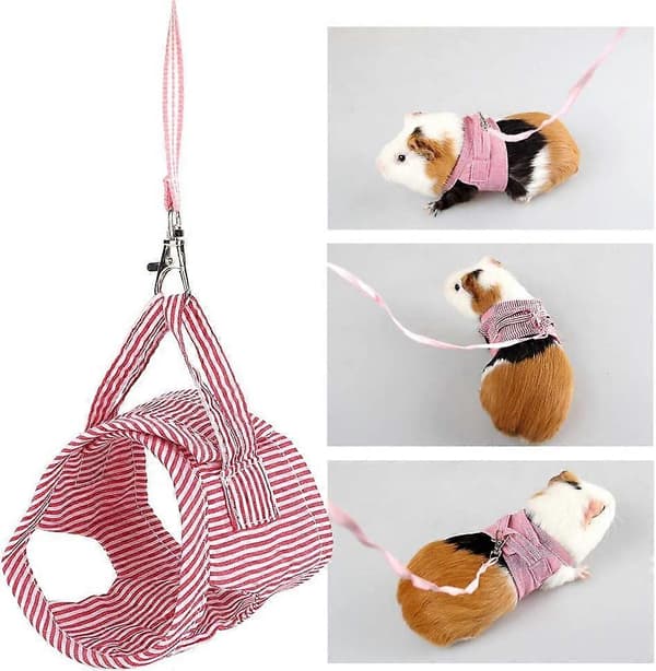 Hamsterin valjaat, Hamsterin etuvaljaat, Pieneläin