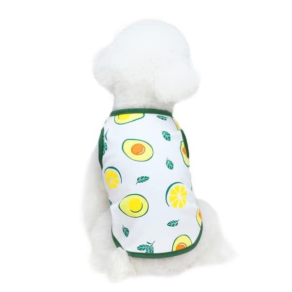 2 Pcs Summer Dog Shirts, Small Dog Shirts with Fruit Pattern, Co