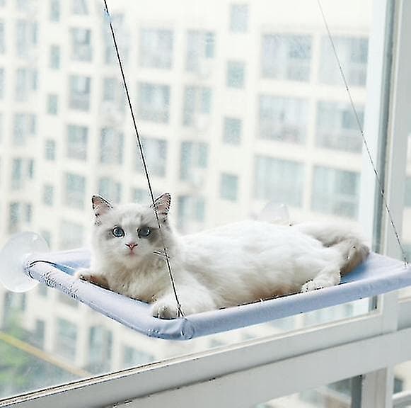 Cat Suction Cup Hammock Is Removable And Washable