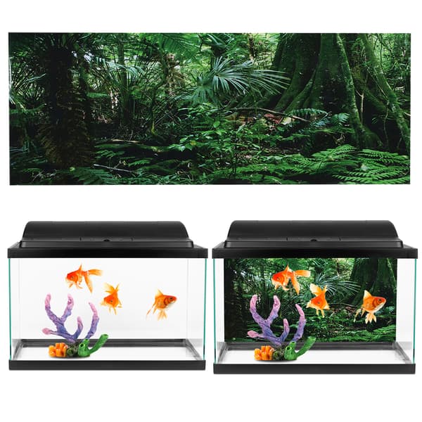Regnskog Reptilboks Veggdekorasjon 76x46cm