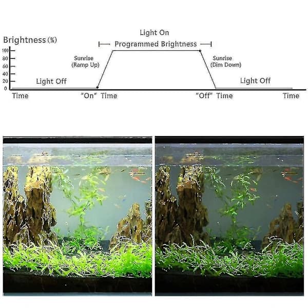 {PL} Aquarium Lighting Controller 4 moduser soloppgang solnedgang akvarium dimmer LED-lys for fisketank lampetimer