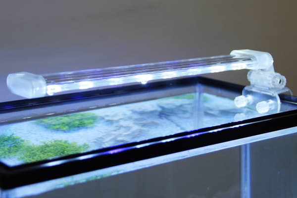 (12cm) Nedsenkbar LED-akvarielampe for planter hvitt og blått lys 3W