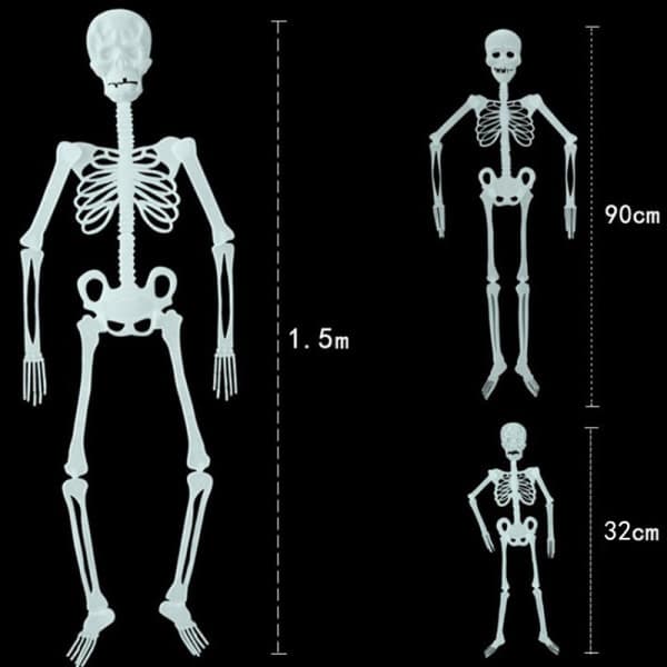 32/90/150 cm Poserbart Menneskelig Skjelett Halloween-dekorasjon Fest A 150 cm