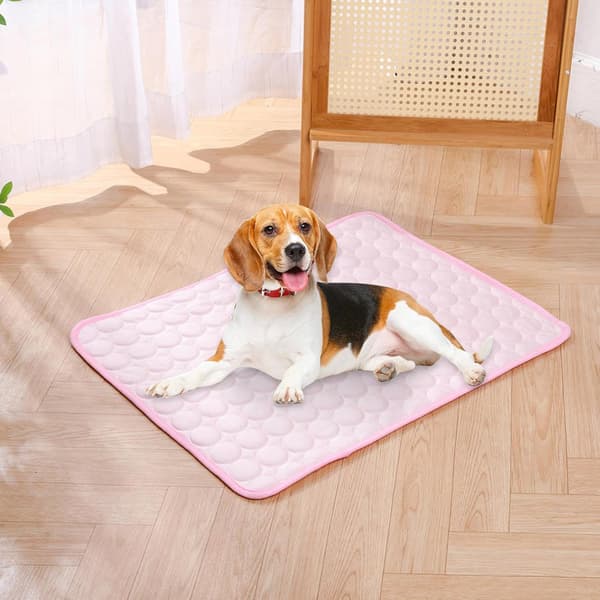 Kølemåtte til hund, Kølemåtte til kæledyr, Kæledyrskølemåtte, Kølemåtte til kæledyr, Sommerkølepuder til bur, kennel, seng, sofa, hundesengsmåtter