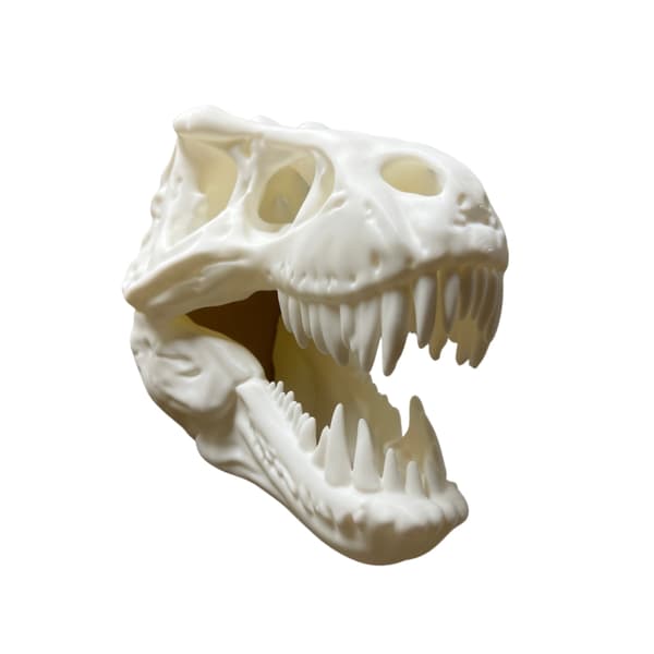 T-rex dinosaurus pääkallo seinäkoriste Valkoinen Vit one size