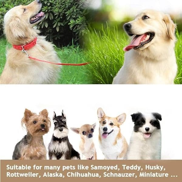 Hundetræningssnor Hundehalsbånd Hundeline Lang nylonsnor til DXGHC[PL]