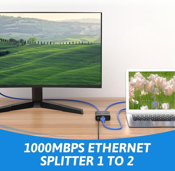 1000 Mbps Ethernet-splitter 1 til 2 Gigabit Ethernet-splitter RJ45-adapter med USB-strømkabel