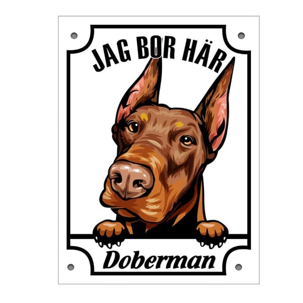 Peltikyltti Dobermann Kurkistava koira -kyltti Vit white