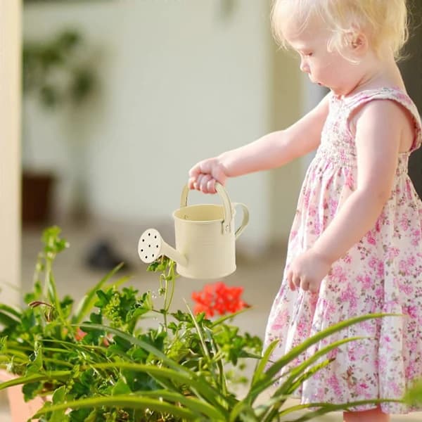 100% New, Mini Iron Watering Can, Spray Bottle, Metal Forging with Handle, Sprinkled Shower Pink