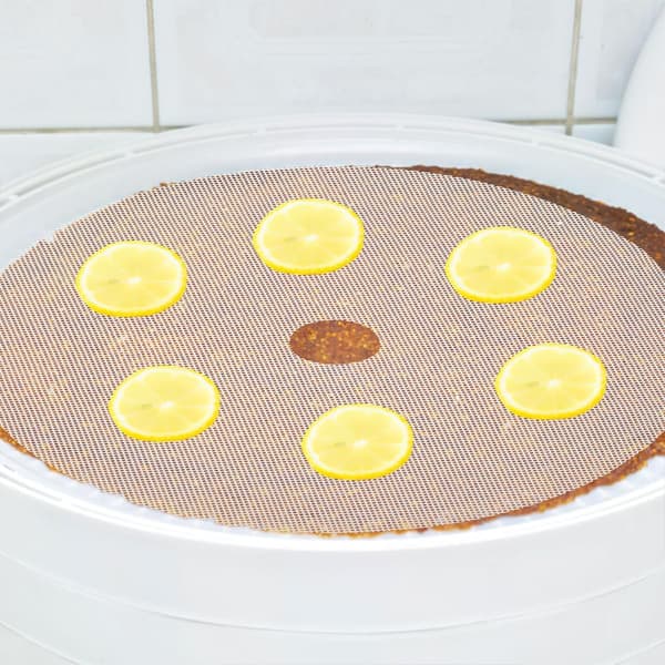 2 stk tørkeovn silikonplate silikonmatte for mattørker rund non-stick lette hvite ark