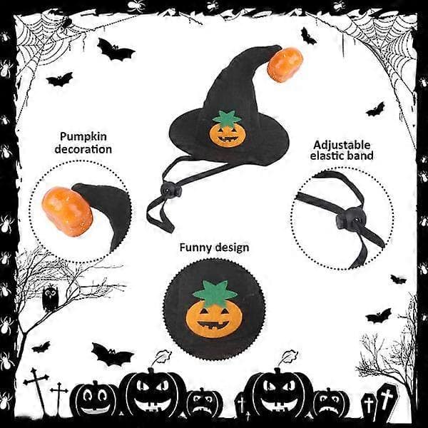 1 sett Spindelbryst og Ryggsett Halloween Spindelbryst og Rygg