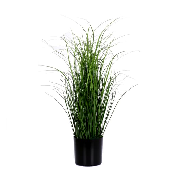 Koristekasvi ruukussa K55 cm Grön green