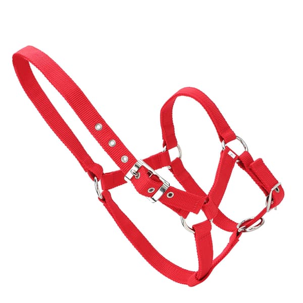 Red 6mm Thickened High-Density Webbing Horse Bridle Control Halter Riding Accessories