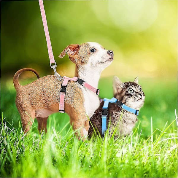 Adjustable Rabbit Harness with Leash, Rabbit Harness Leash, Pet Safety Harness and Leash for Walking, Running and Jogging, Pet Harness with Leash...