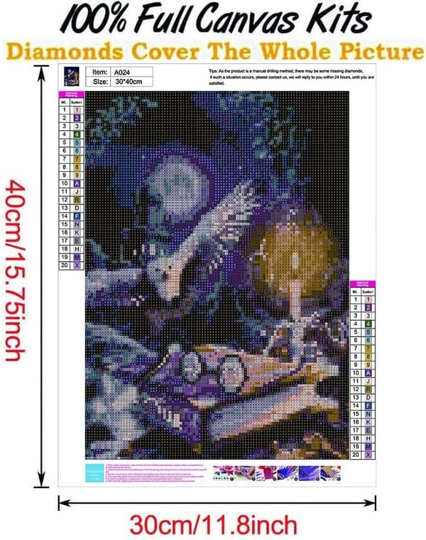 (Magi, 12x16 tommer) DIY 5D Diamantmalingssett, Full Drill Diamant