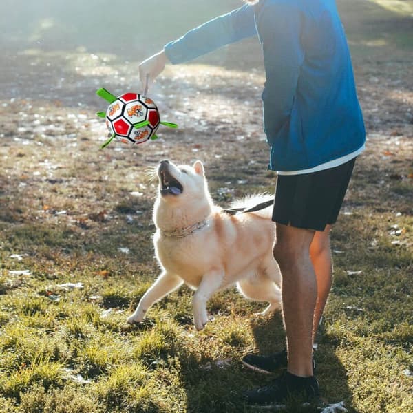 Hundelegetøj, hundebolde, hundefodbold til 15 cm x 15 cm interaktiv hundebold til indendørs og udendørs brug