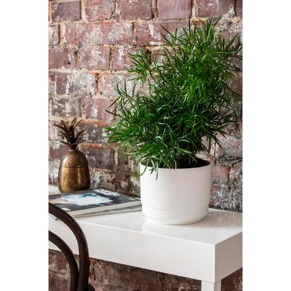 Pot with long-term watering. ø 17 cm White Paulina Orthex Vit white