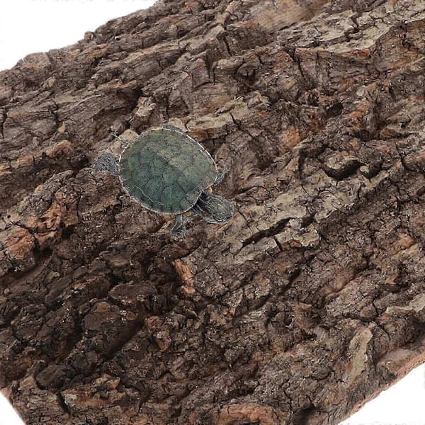 Bakgrunnstavle i naturlig korkbark for terrarium