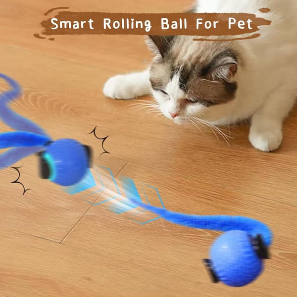 QILUCKY Speedy Tail Kattelegetøj