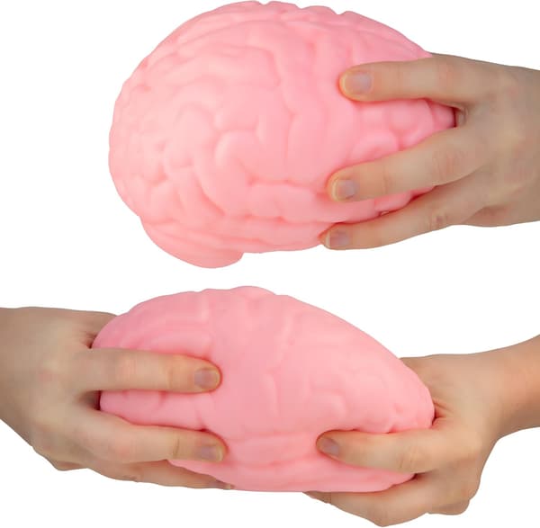 Hjernemodell klemmeleker, Sakte stigende myk Squishy Leketøy